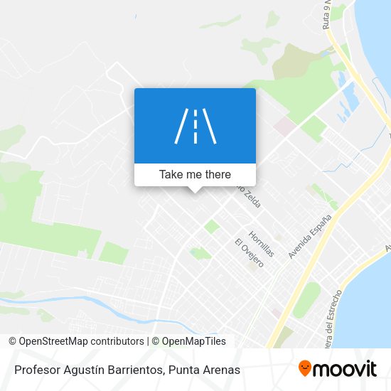 Mapa de Profesor Agustín Barrientos