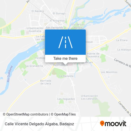 Calle Vicente Delgado Algaba map