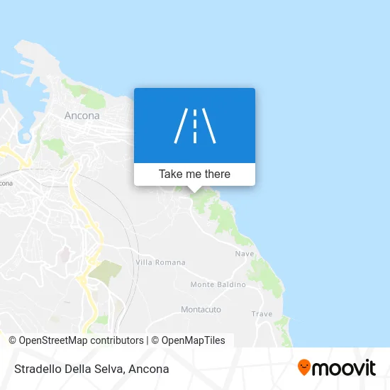 Stradello Della Selva map