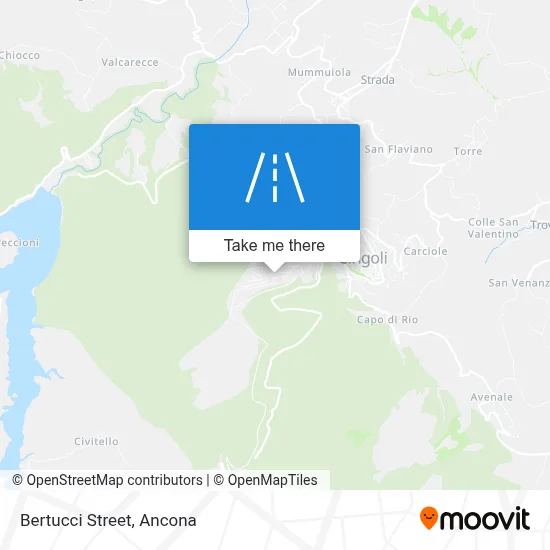 Bertucci Street map