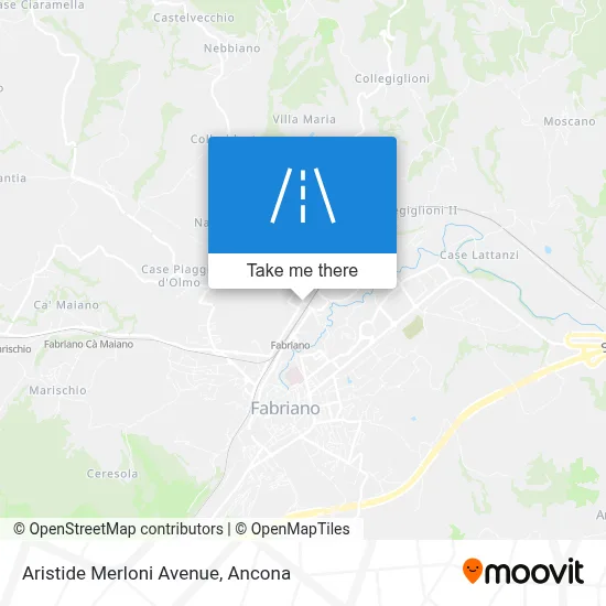 Aristide Merloni Avenue map