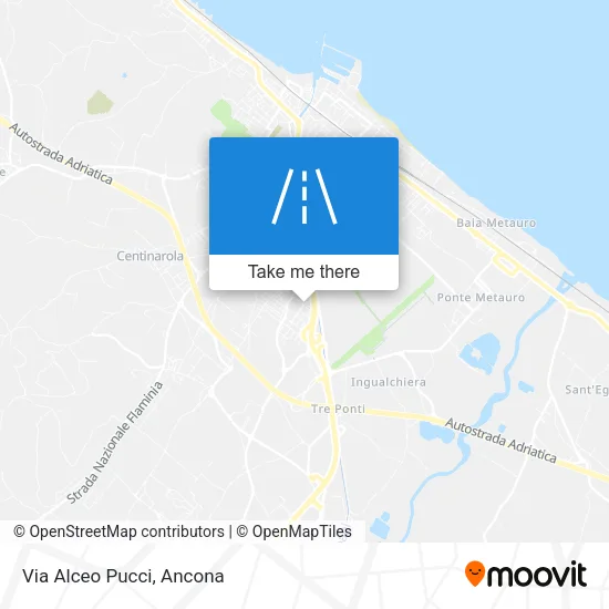 Via Alceo Pucci map
