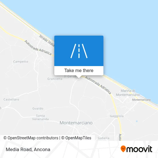 Media Road map