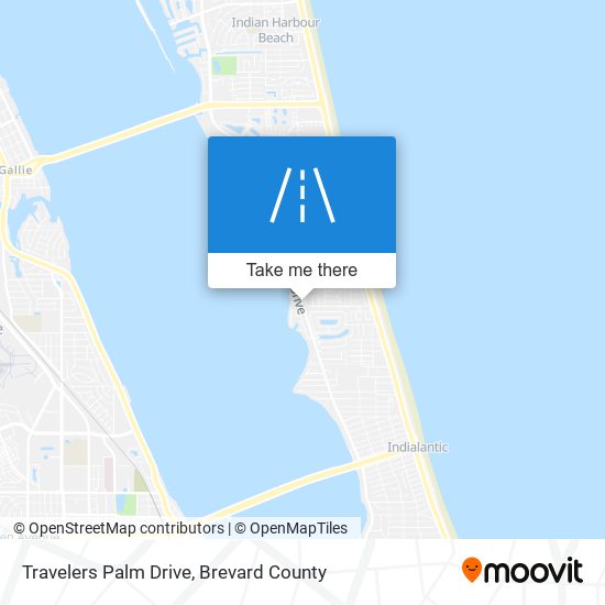 Travelers Palm Drive map