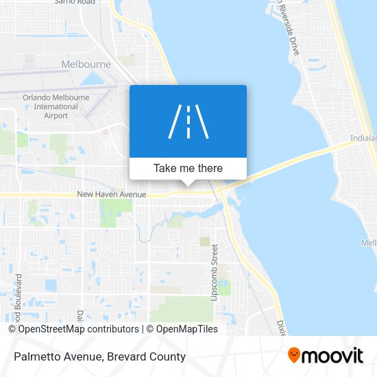 Palmetto Avenue map
