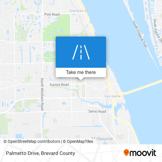 Palmetto Drive map