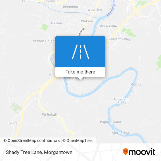 Shady Tree Lane map