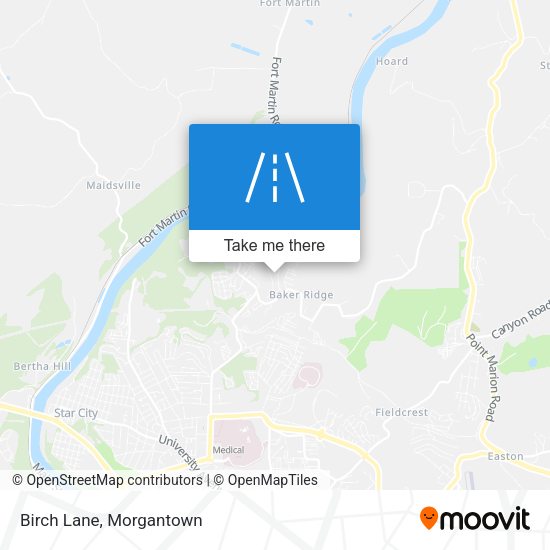 Mapa de Birch Lane