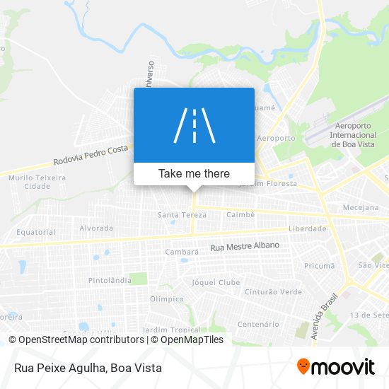 Rua Peixe Agulha map