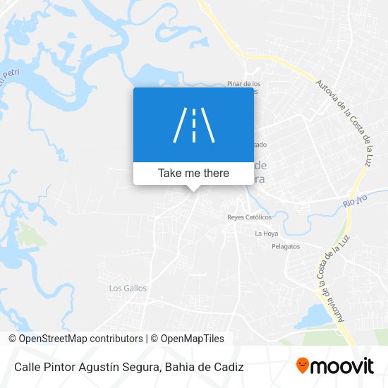 Calle Pintor Agustín Segura map