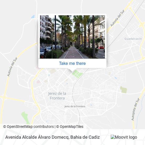 mapa Avenida Alcalde Álvaro Domecq