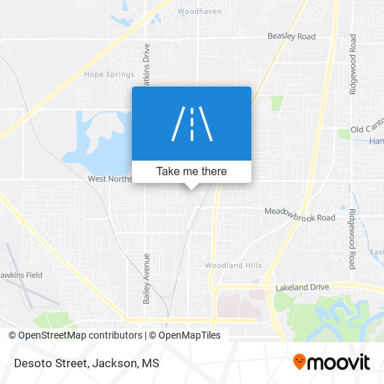 Desoto Street map