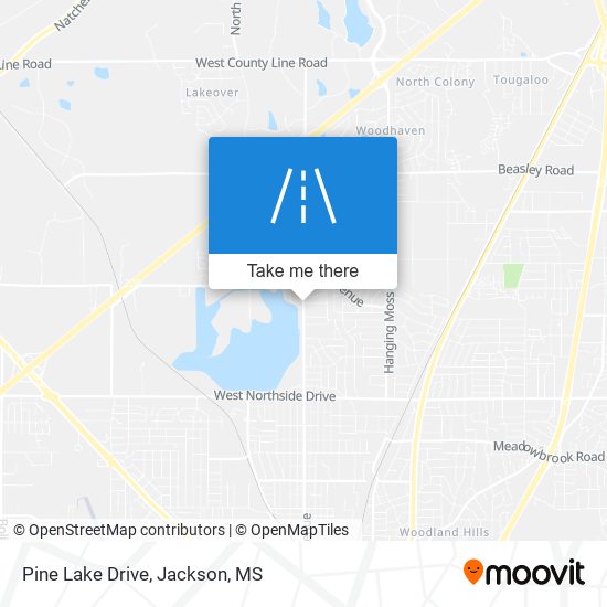 Pine Lake Drive map