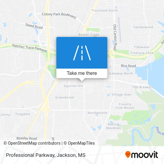 Mapa de Professional Parkway