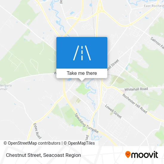 Chestnut Street map