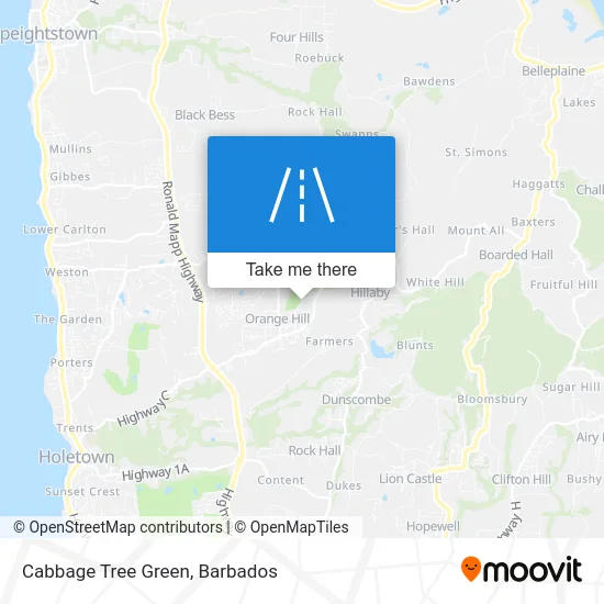 Cabbage Tree Green map