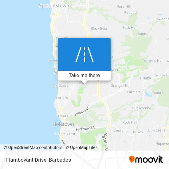 Flamboyant Drive map