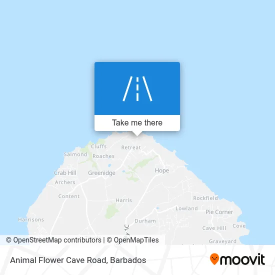 Animal Flower Cave Road map
