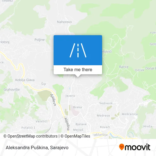 Aleksandra Puškina map