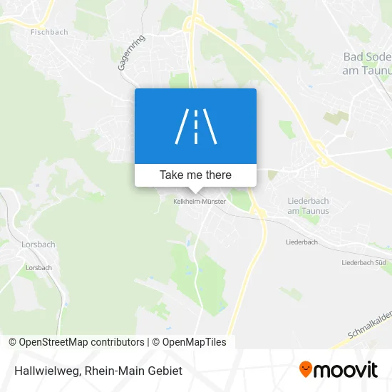 Карта Hallwielweg