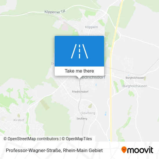 Карта Professor-Wagner-Straße