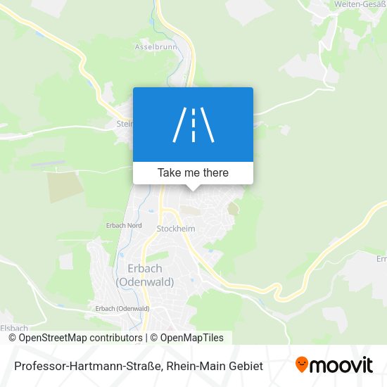 Professor-Hartmann-Straße map