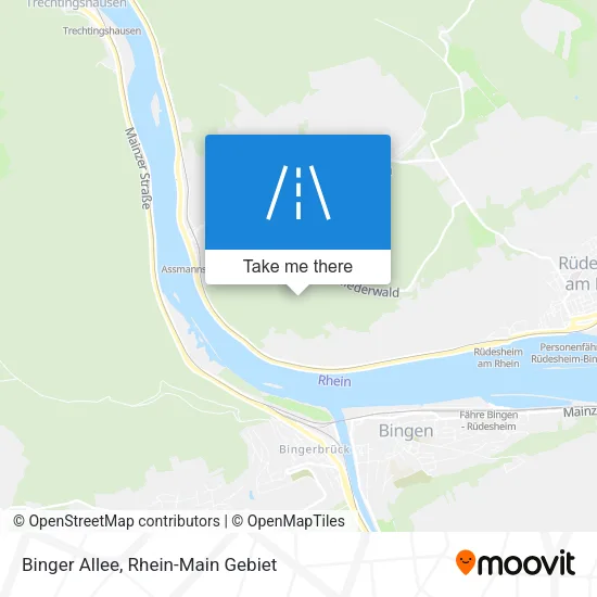 Карта Binger Allee