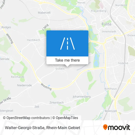 Карта Walter-Georgii-Straße