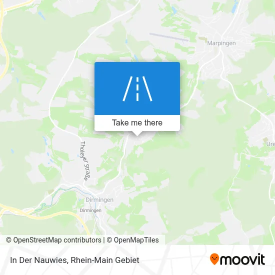 In Der Nauwies map