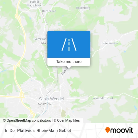 In Der Plattwies map
