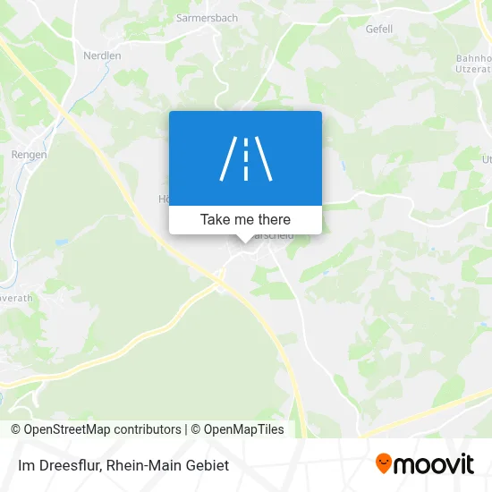 Im Dreesflur map