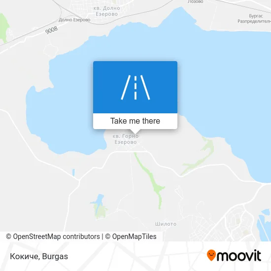 Карта Кокиче