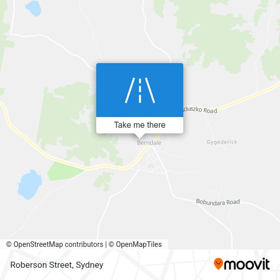Roberson Street map