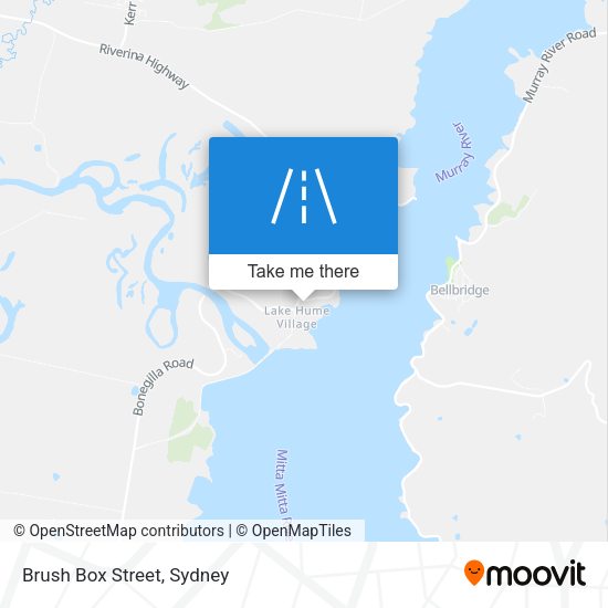 Brush Box Street map