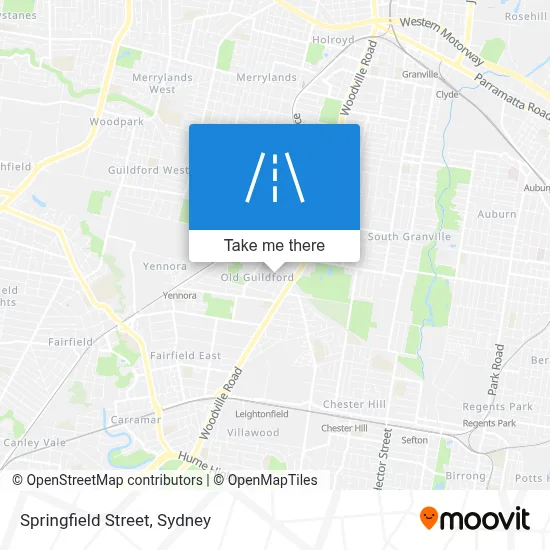 Mapa Springfield Street