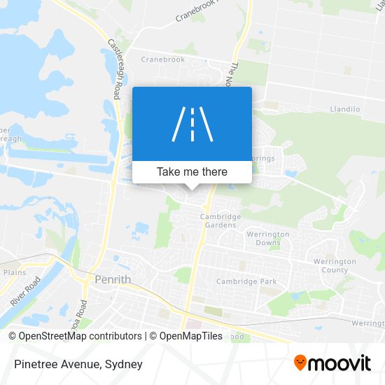 Pinetree Avenue map