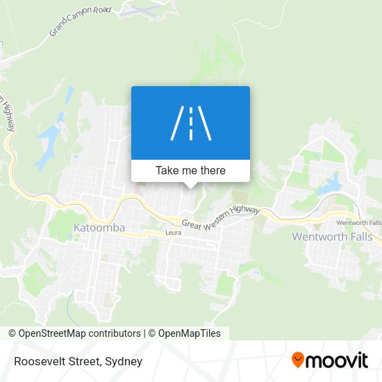 Roosevelt Street map