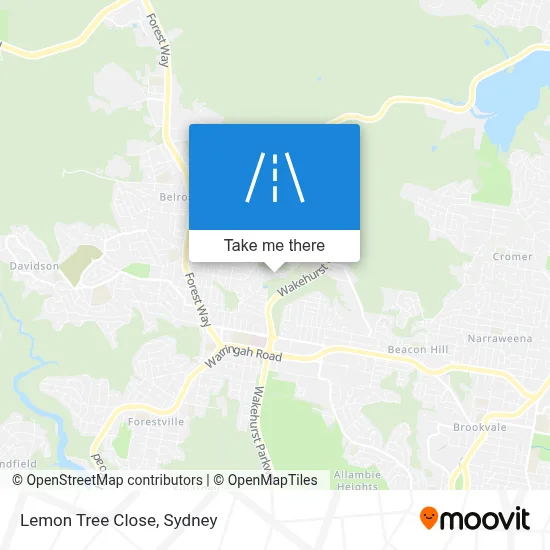 Mapa Lemon Tree Close