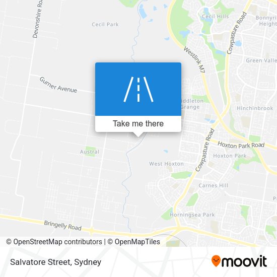 Salvatore Street map