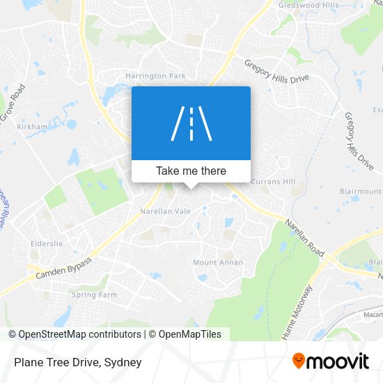 Plane Tree Drive map