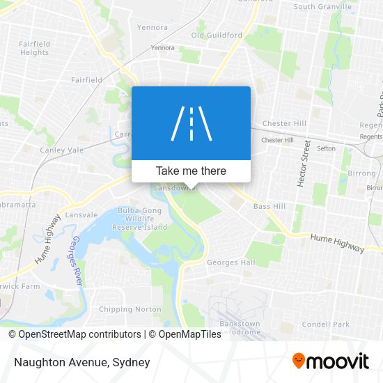 Naughton Avenue map