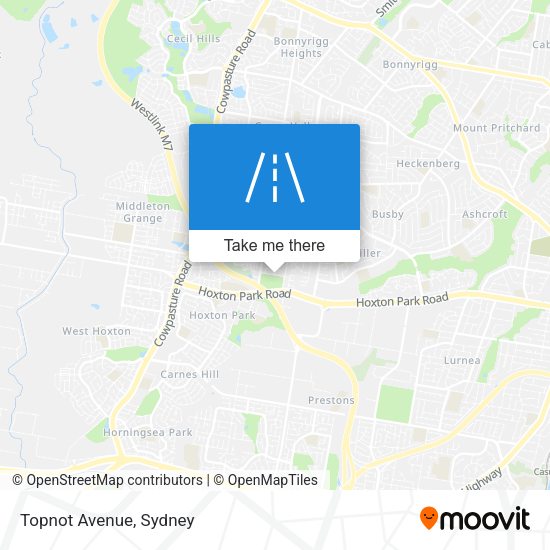 Topnot Avenue map