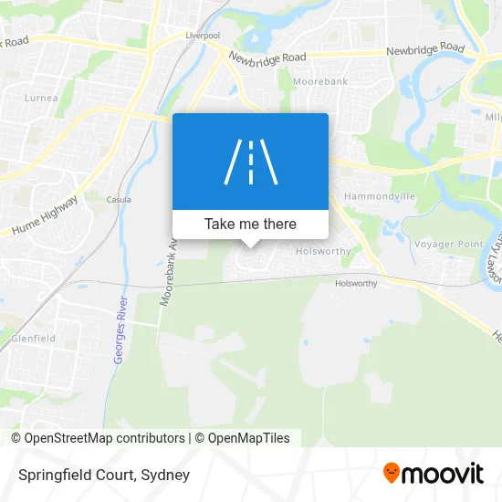 Mapa Springfield Court