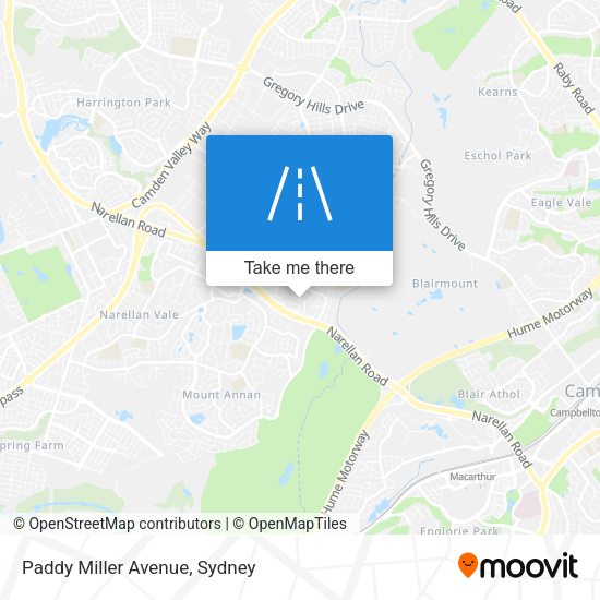Paddy Miller Avenue map