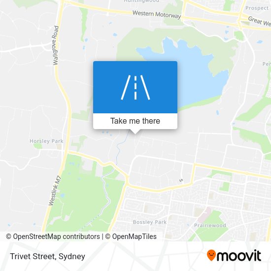 Trivet Street map