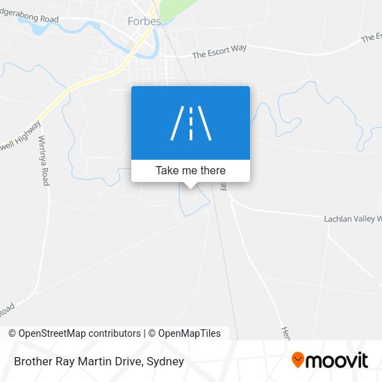 Brother Ray Martin Drive map