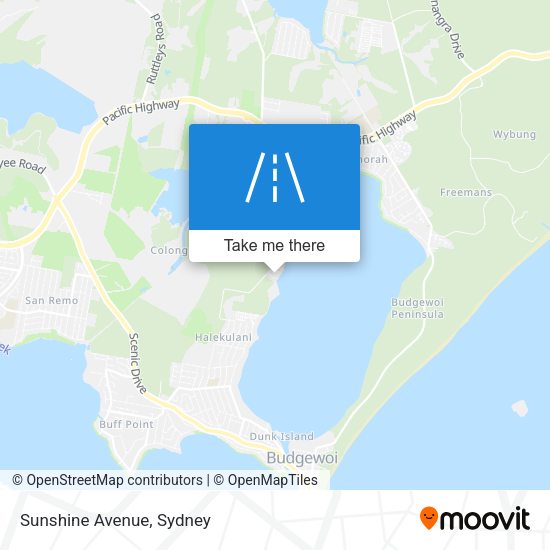 Sunshine Avenue map