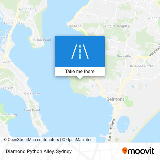 Mapa Diamond Python Alley