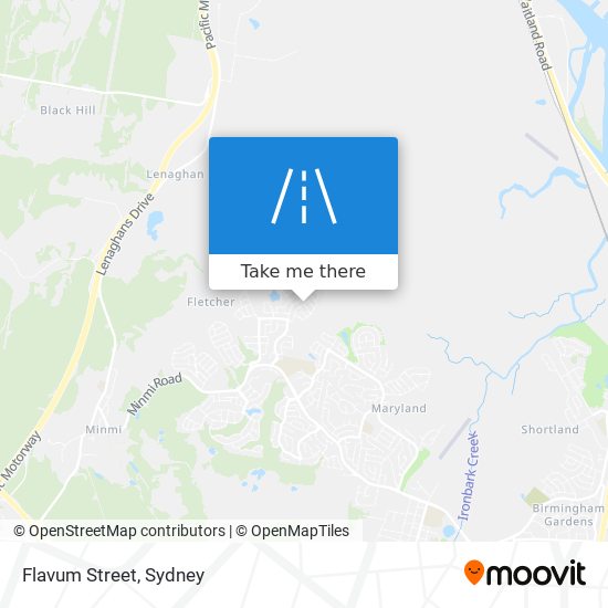 Flavum Street map