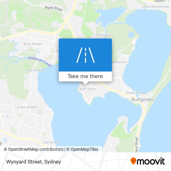 Wynyard Street map